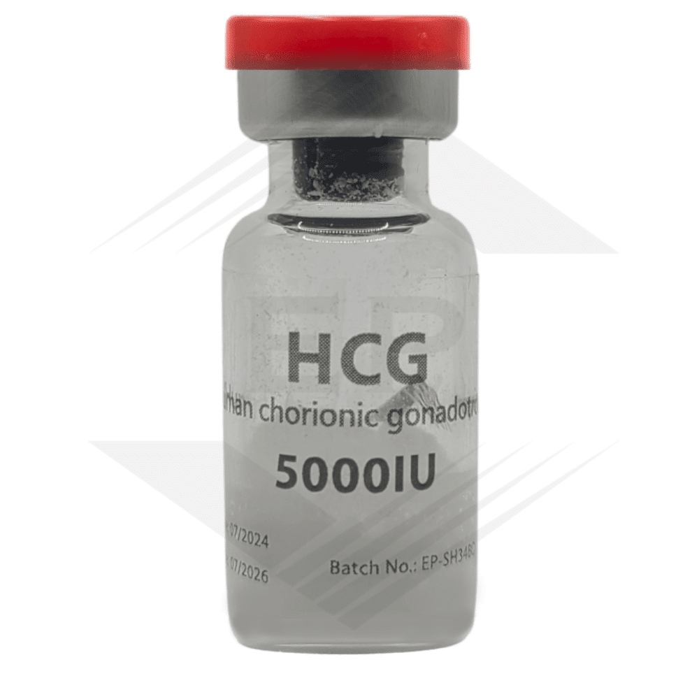 Eurigil HCG 5000iu 1vial - Euro Pharmacies