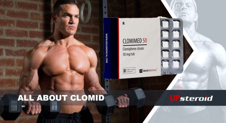 alles over Clomid UP