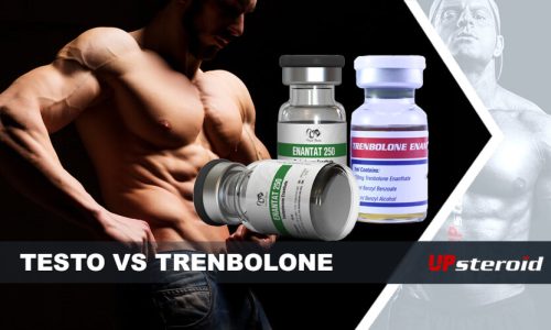 up blog testosterone and trenbolone