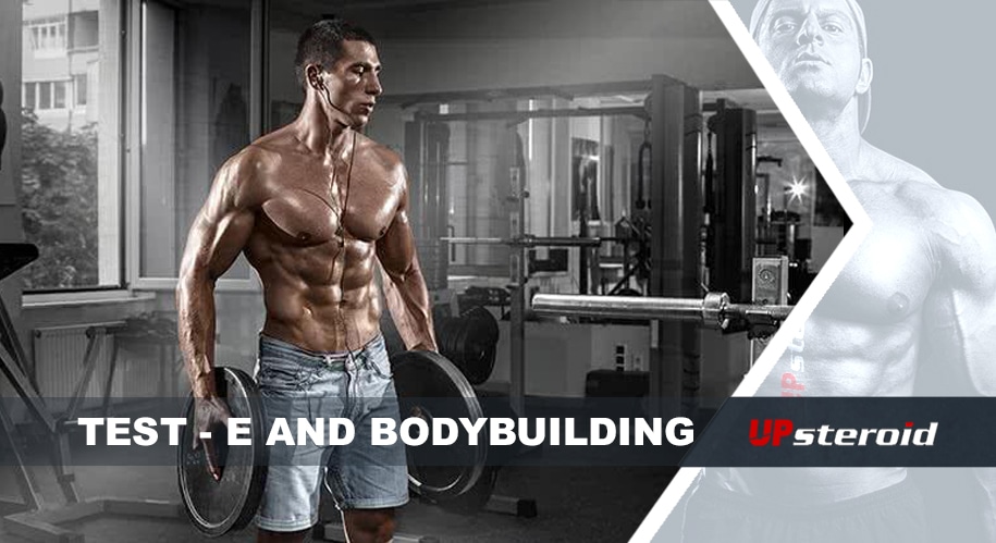 up blog test e bodybuilding