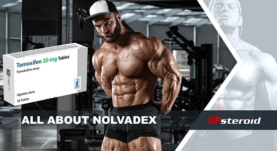 blog over nolvadex mail