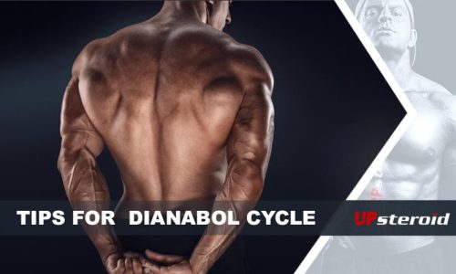 blogtips dianabol cyclus