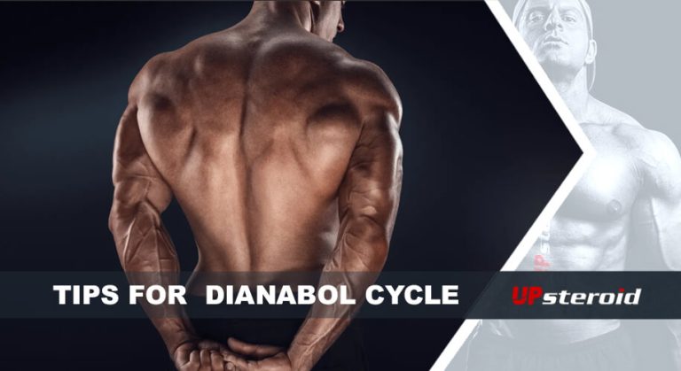 blogtips dianabol cyclus