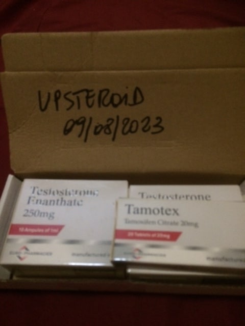 2023 08 09 64d393027bf7e UP