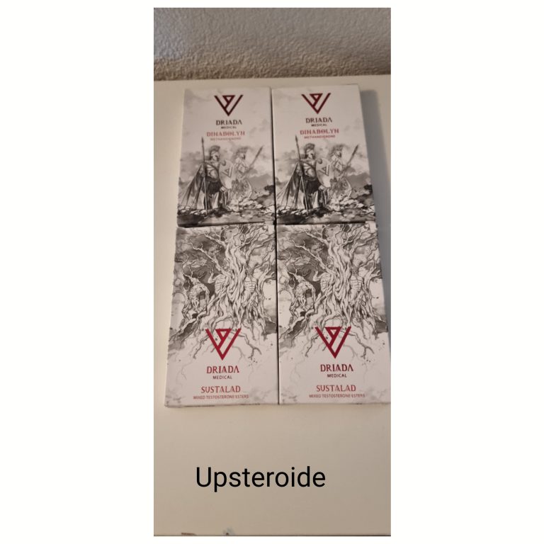 2023 09 13 6501e274f28f5 logo9 13 181644