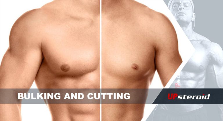omhoog blog bulking cutting cycle