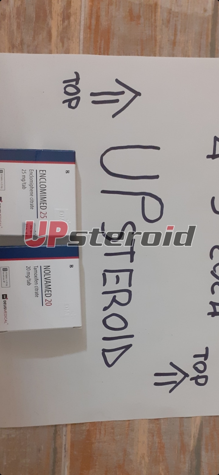 2024 03 04 65e635ce1c044 Screenshot 20240304 215539 Galerij