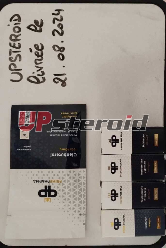 2024 08 22 66c7402cccfb7 Messenger creation 0d43f1c6 18cf 4778 899a 755a60d58aa1