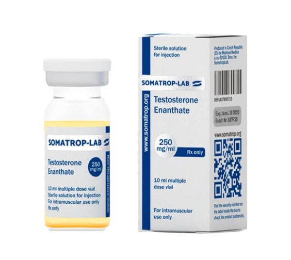 testosteron enanthaat 250 somatroplab