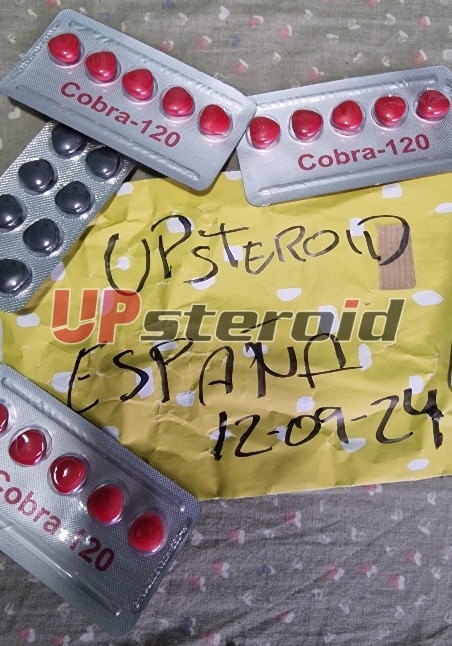 2024 09 12 66e380642c4ba retouch 2024091301554147