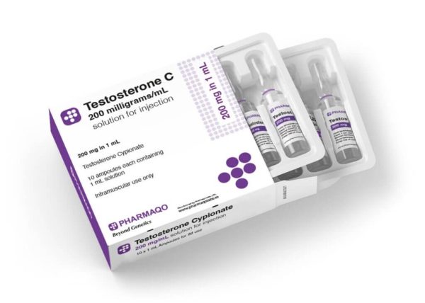 Pharmaqo TESTOSTERONE C Ampullen