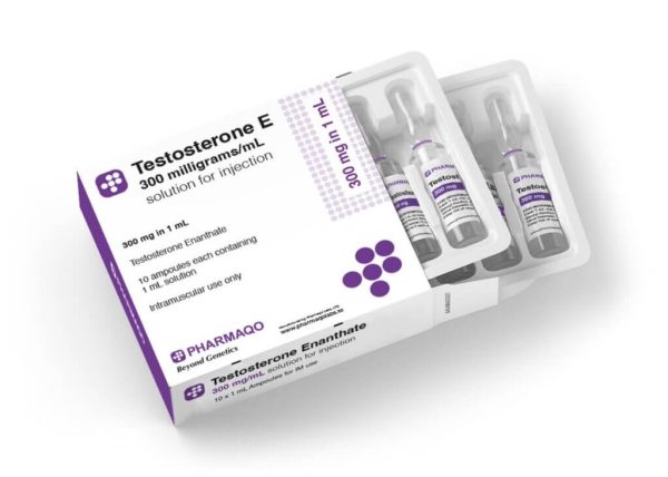 Pharmaqo TESTOSTERONE E Ampullen
