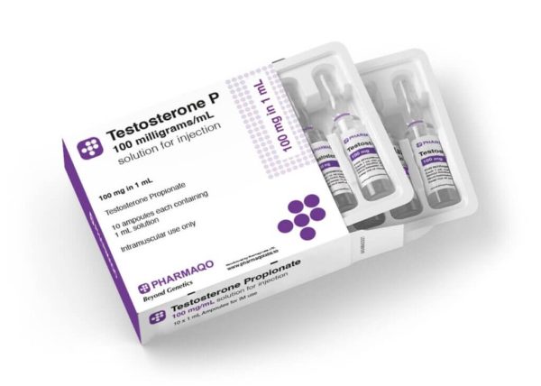 Pharmaqo TESTOSTERONE P Ampullen