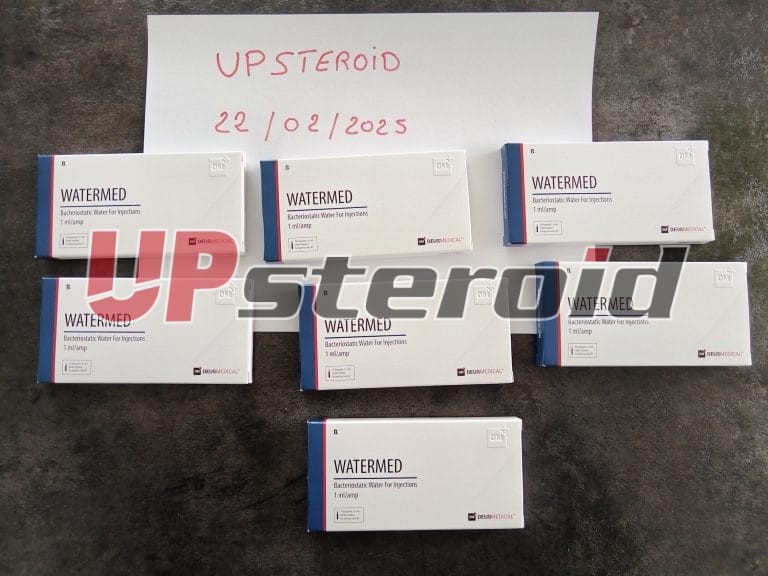 2025 02 25 67bdaf54419d5 Foto's1a