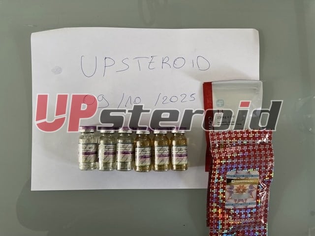 2025 10 09 68e7a0c998d63 afbeelding0