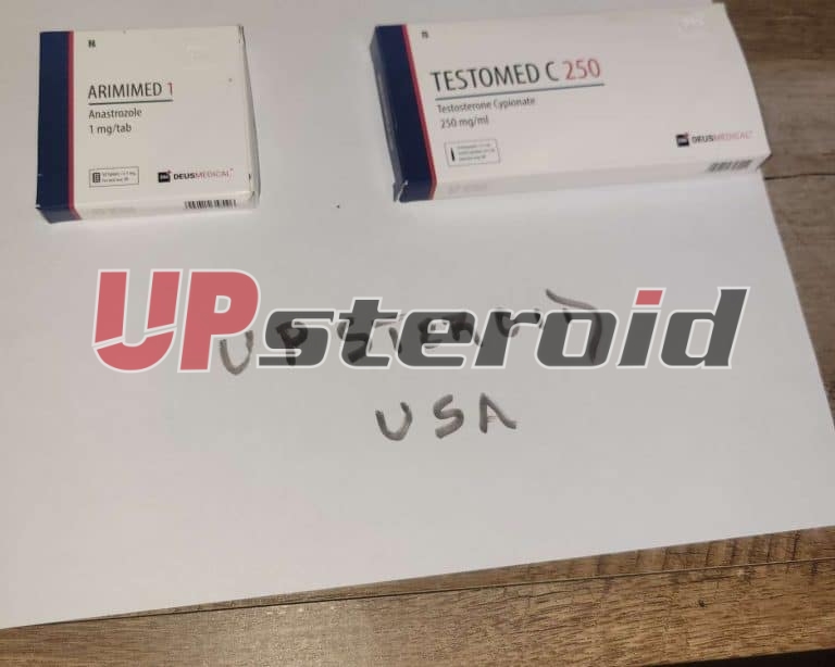 2025 10 31 6904483a59f69 Afbeelding 2025 10 31 00 24 12